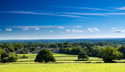 live in care services in surrey