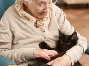 Keeping elderly at home with their pets