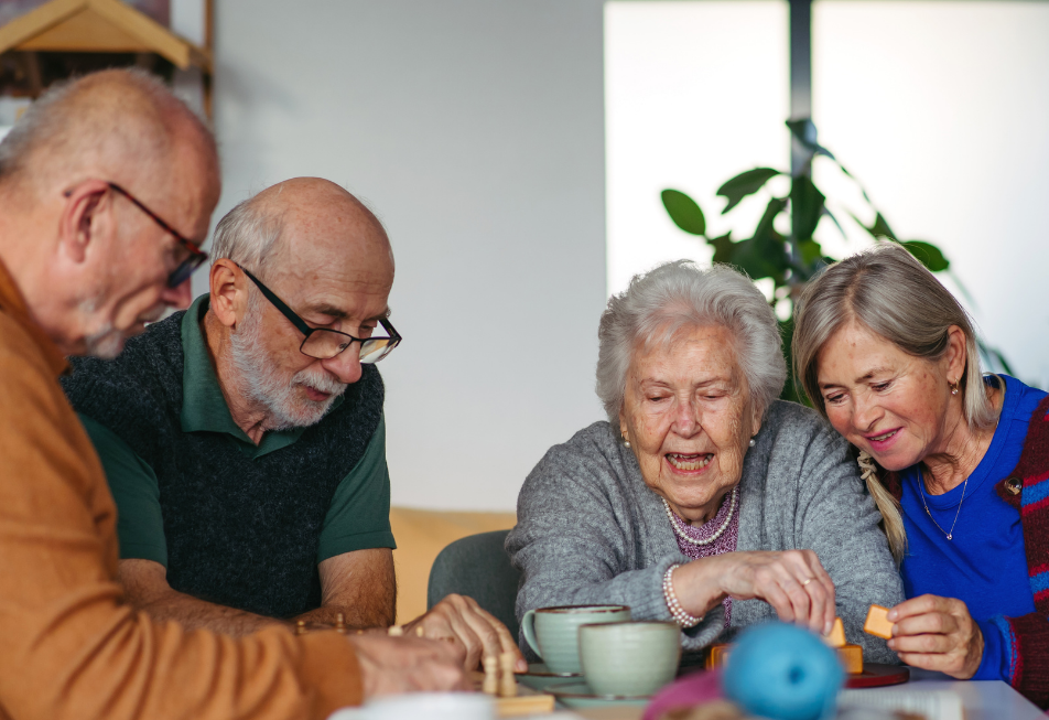 Support participation in local groups, community activities, or clubs where they can meet others and stay socially engaged